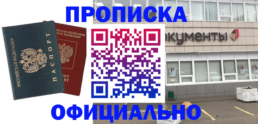 прописка поиск в Камышине